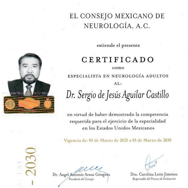 Ampliar imagen: certificate 3