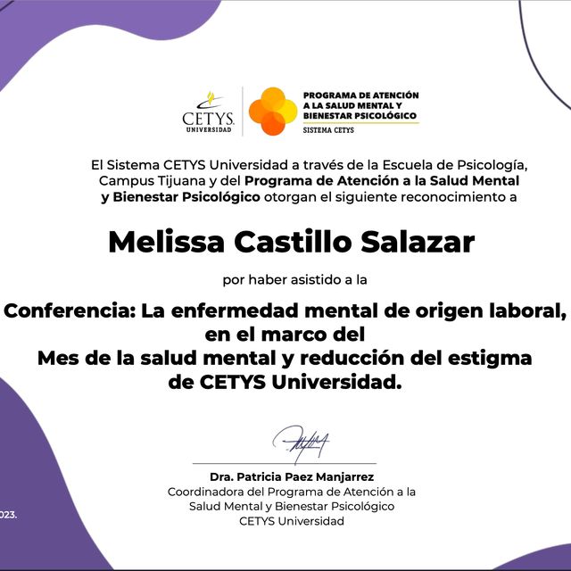 Ampliar imagen: certificate 2