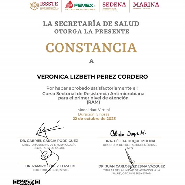 Ampliar imagen: certificate 3