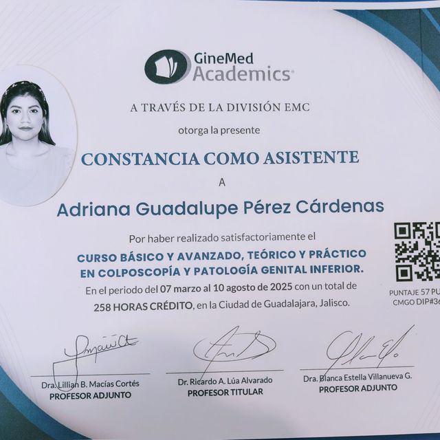 Ampliar imagen: certificate 1