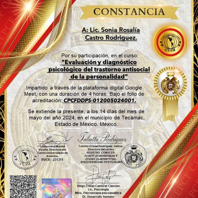 Ampliar imagen: certificate 2