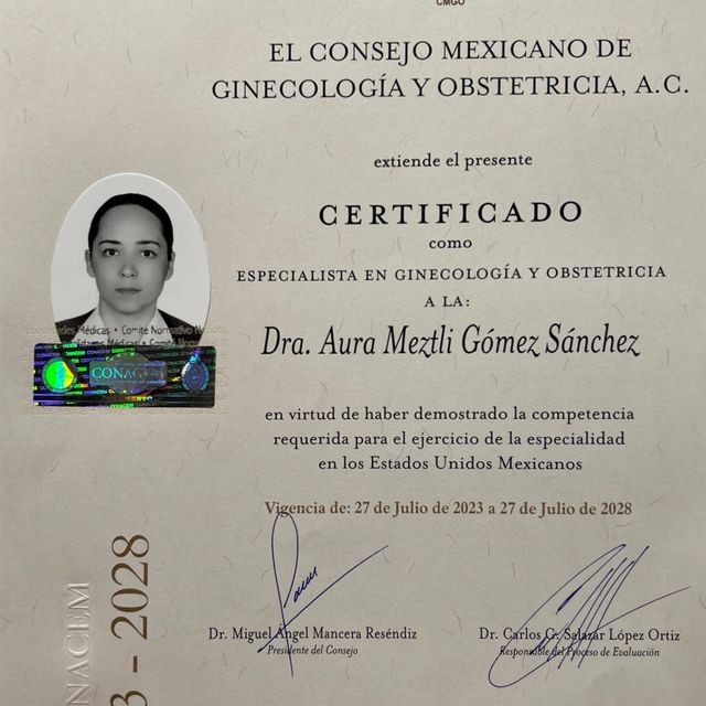 Ampliar imagen: certificate 19