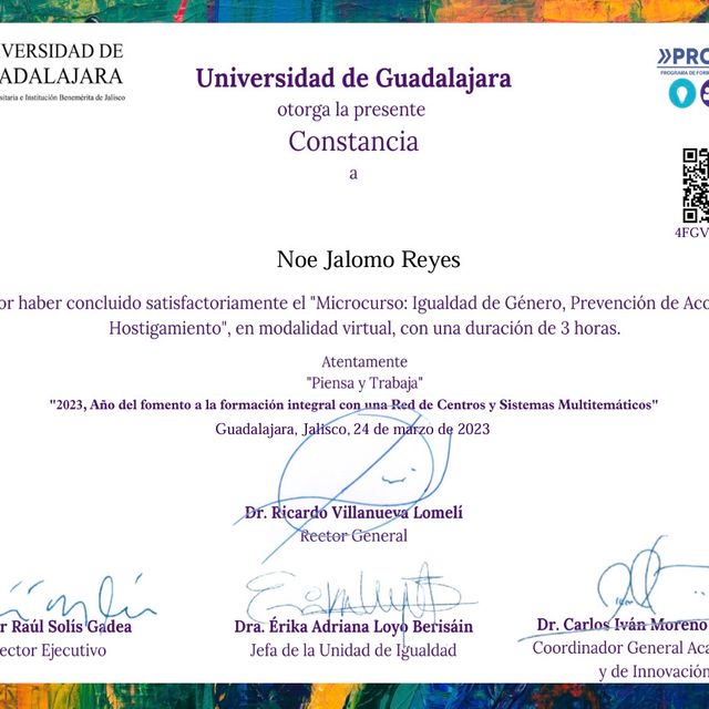 Ampliar imagen: certificate 2