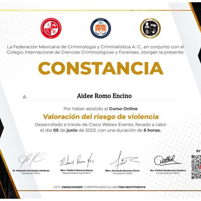 Ampliar imagen: certificate 12