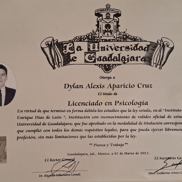 Ampliar imagen: certificate 1