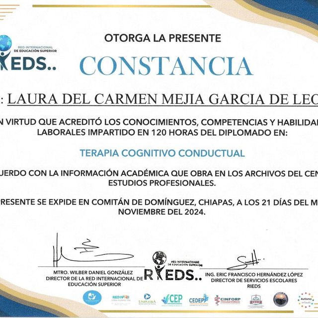 Ampliar imagen: certificate 4