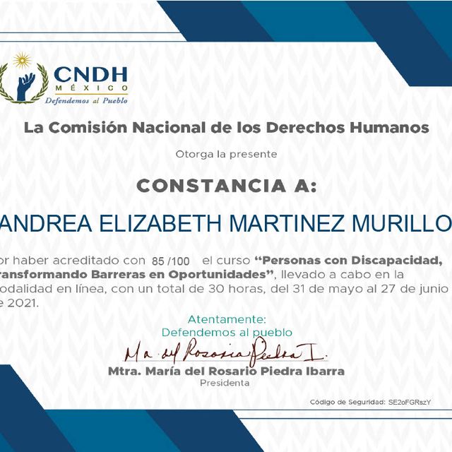 Ampliar imagen: certificate 46