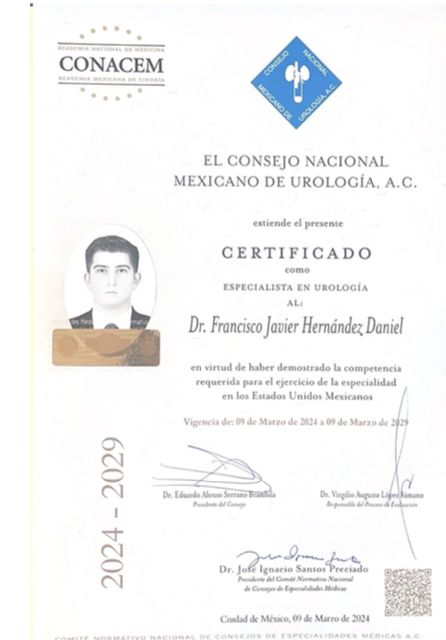 Ampliar imagen: certificate 3