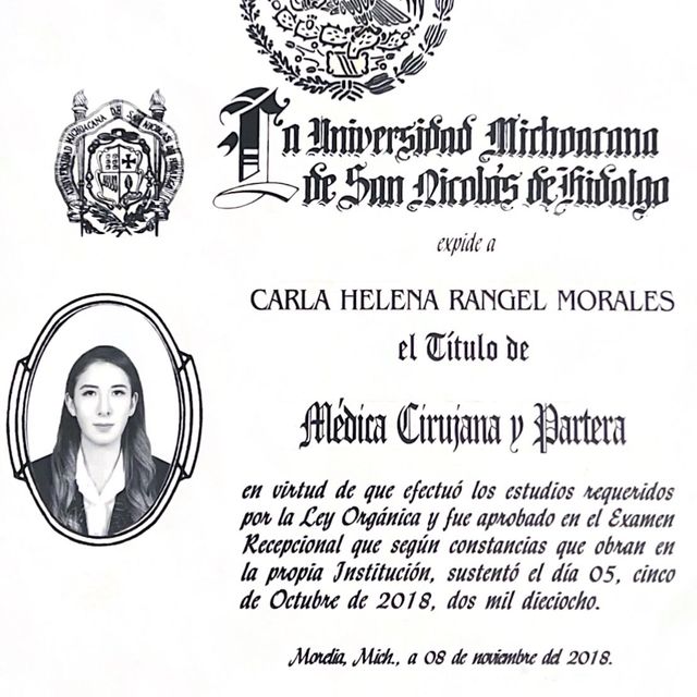 Ampliar imagen: certificate 3