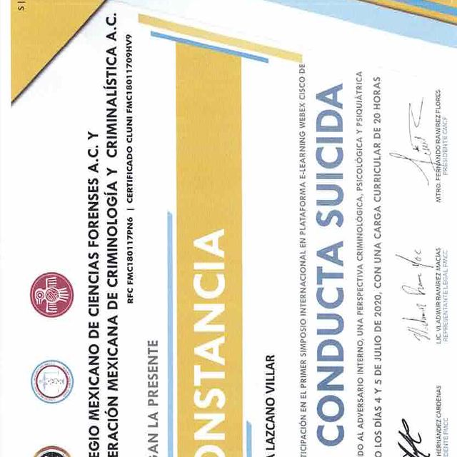 Ampliar imagen: certificate 5