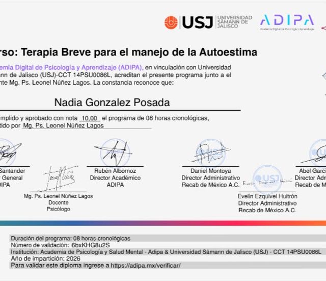 Ampliar imagen: certificate 1