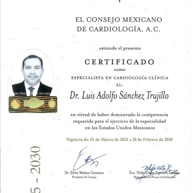 Ampliar imagen: certificate 1