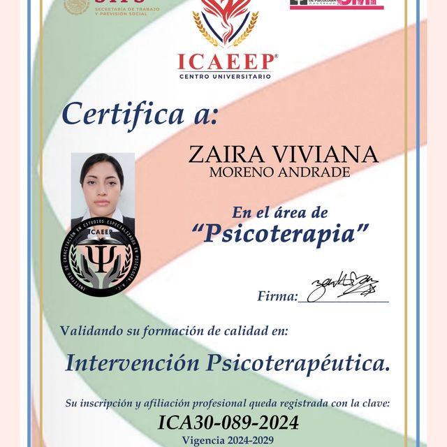 Ampliar imagen: certificate 1