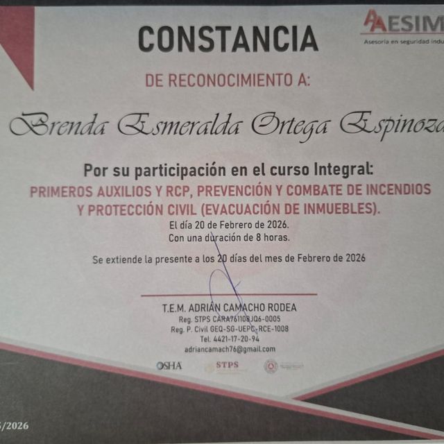 Ampliar imagen: certificate 1