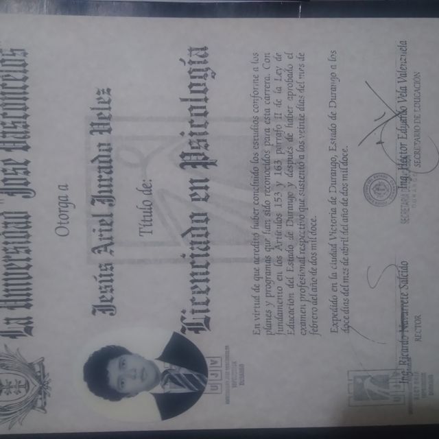 Ampliar imagen: certificate 3