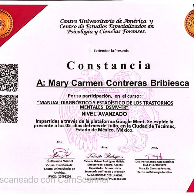 Ampliar imagen: certificate 2