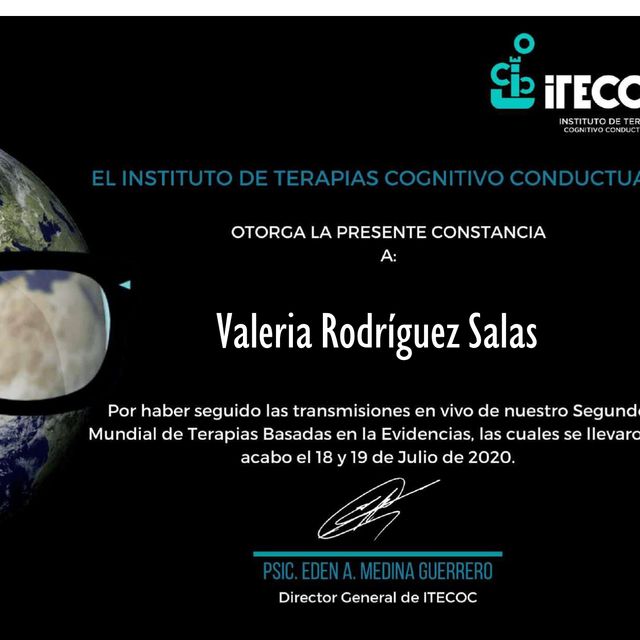 Ampliar imagen: certificate 4