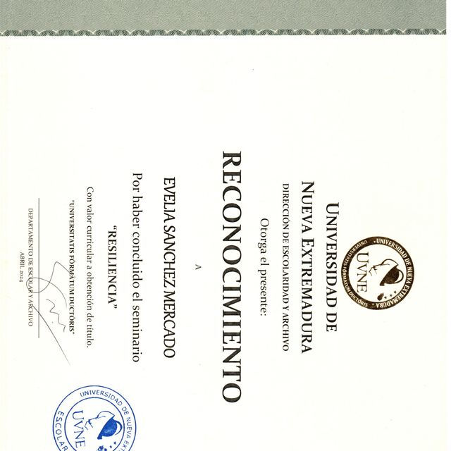 Ampliar imagen: certificate 4