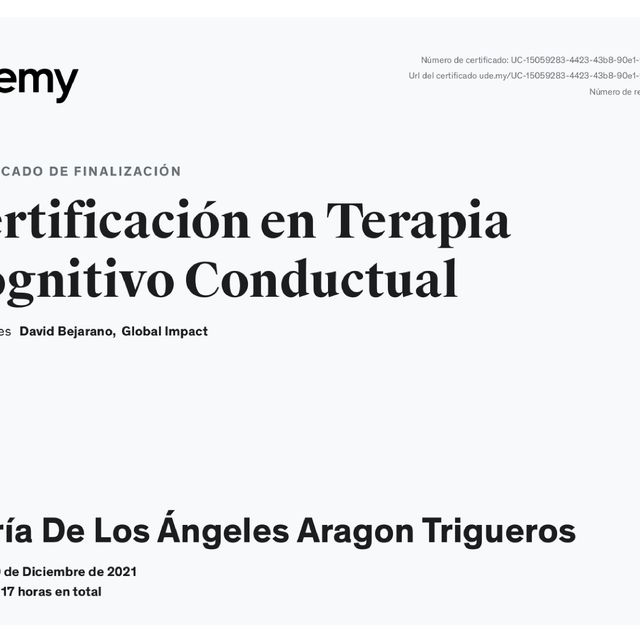 Ampliar imagen: certificate 7