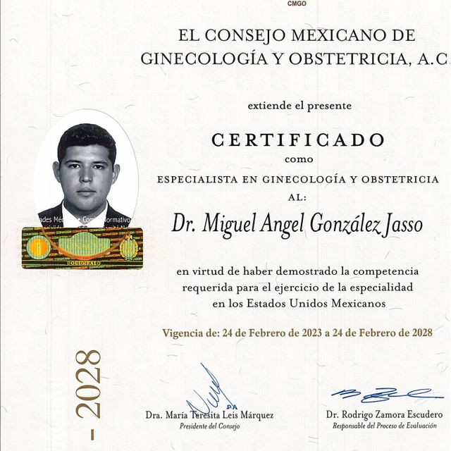 Ampliar imagen: certificate 2