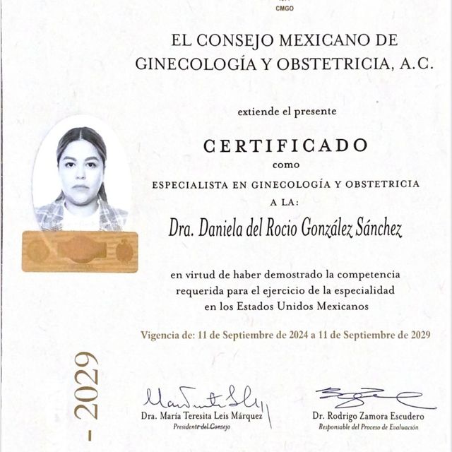 Ampliar imagen: certificate 1