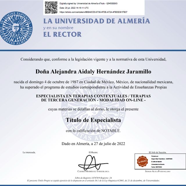 Ampliar imagen: certificate 3