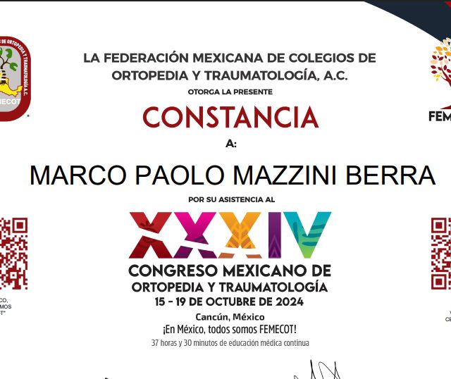 Ampliar imagen: certificate 3