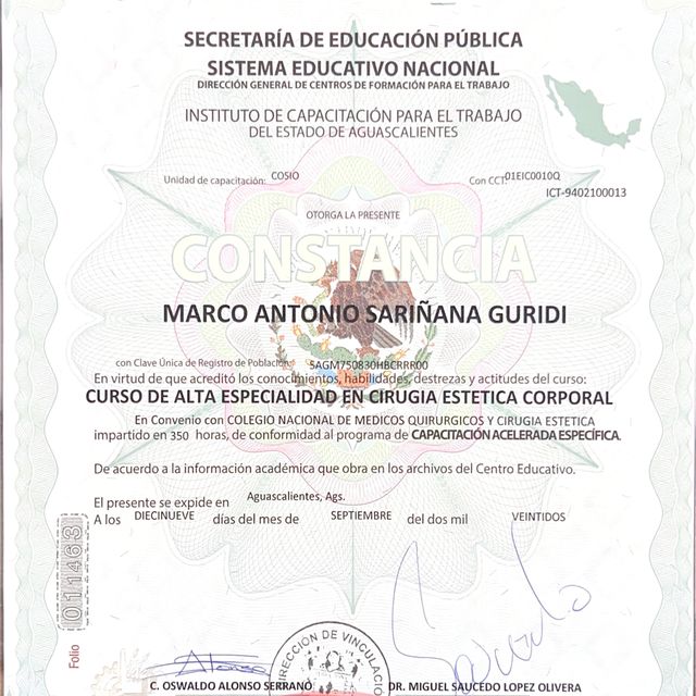 Ampliar imagen: certificate 7