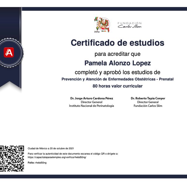 Ampliar imagen: certificate 4