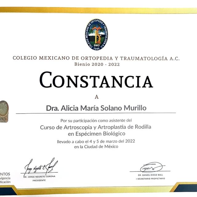 Ampliar imagen: certificate 5