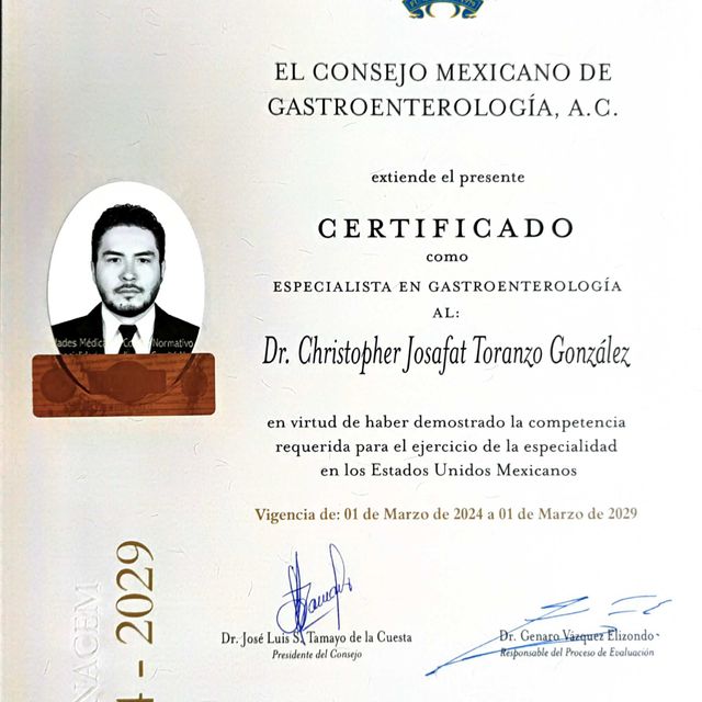 Ampliar imagen: certificate 1