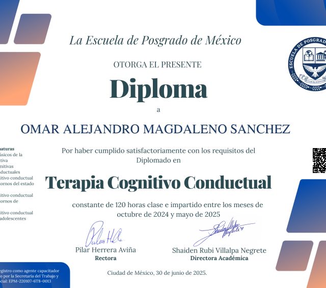 Ampliar imagen: certificate 12