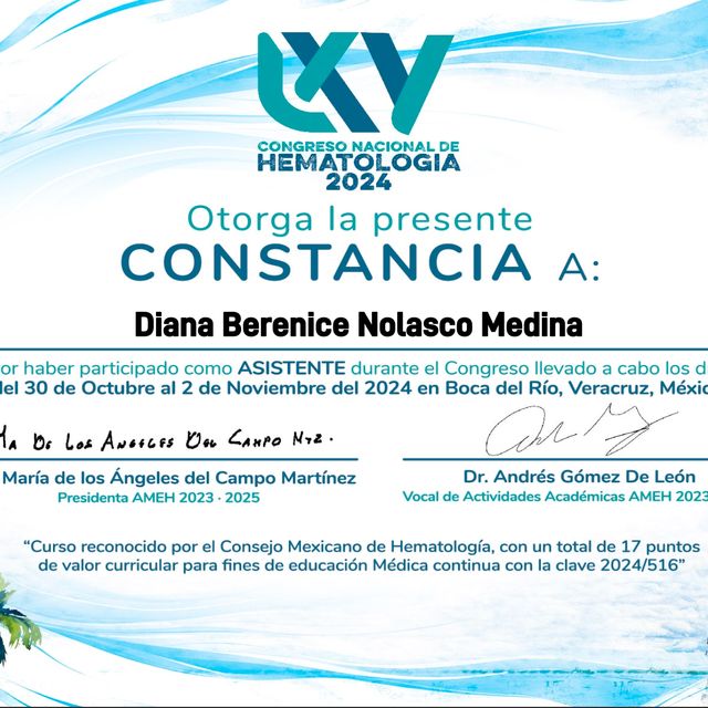 Ampliar imagen: certificate 5