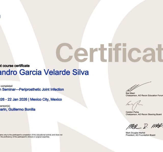 Ampliar imagen: certificate 5