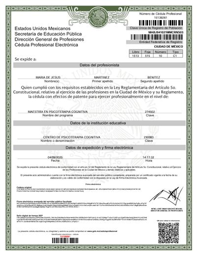 Ampliar imagen: certificate 3