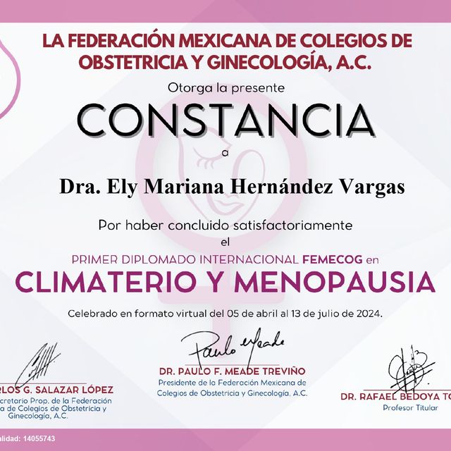 Ampliar imagen: certificate 2