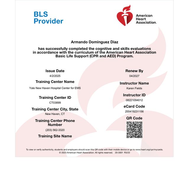 Ampliar imagen: certificate 4