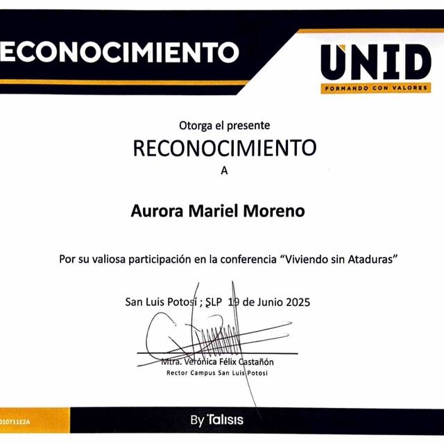 Ampliar imagen: certificate 3