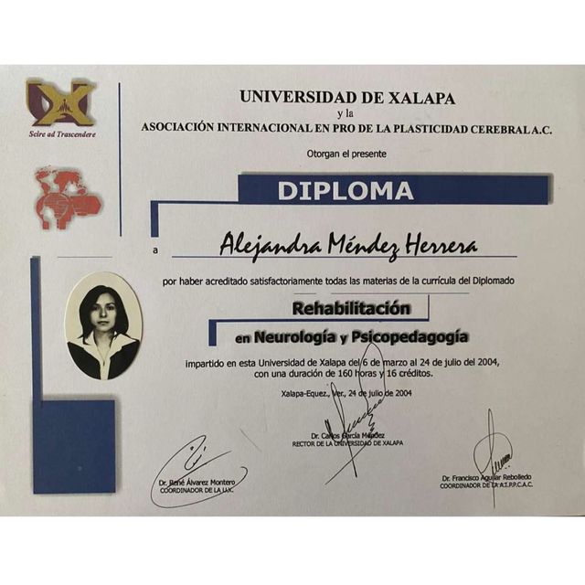 Ampliar imagen: certificate 4