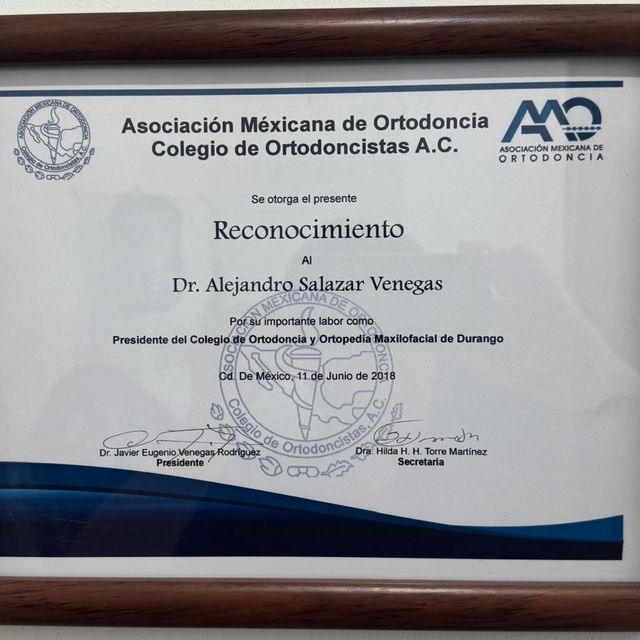 Ampliar imagen: certificate 15