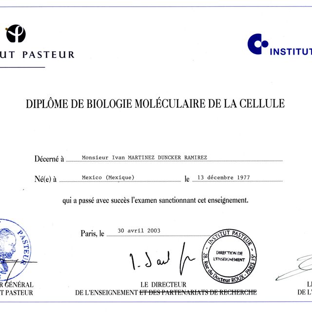 Ampliar imagen: certificate 7