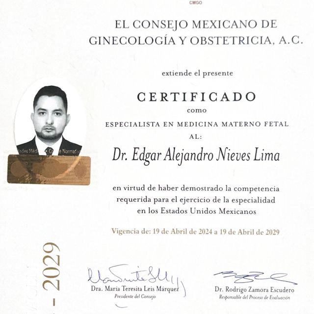 Ampliar imagen: certificate 1
