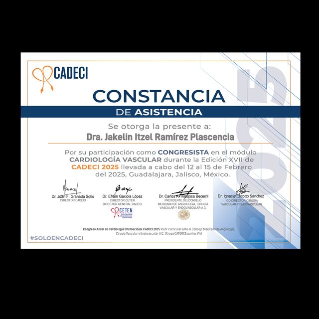 Ampliar imagen: certificate 5