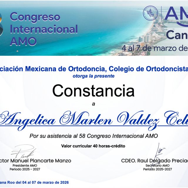 Ampliar imagen: certificate 3