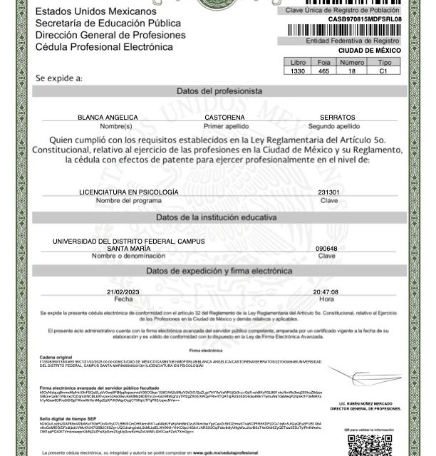 Ampliar imagen: certificate 1