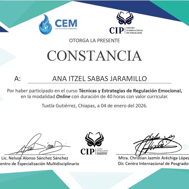 Ampliar imagen: certificate 4