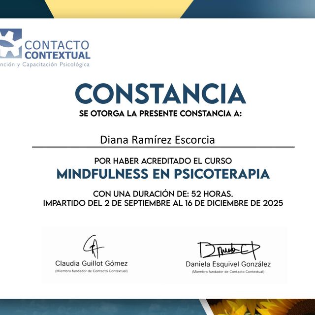 Ampliar imagen: certificate 16
