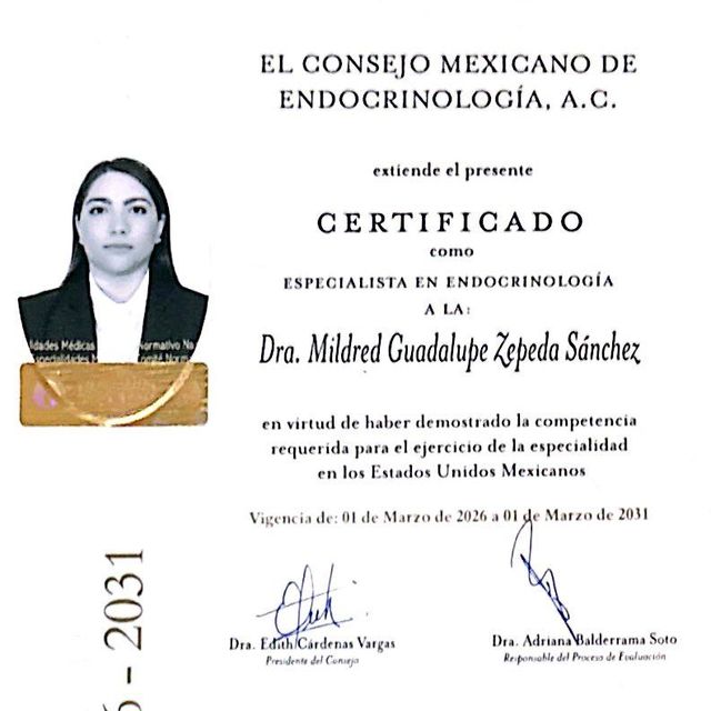 Ampliar imagen: certificate 1
