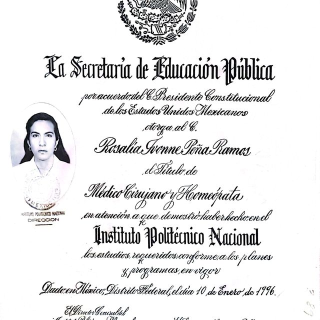 Ampliar imagen: certificate 3