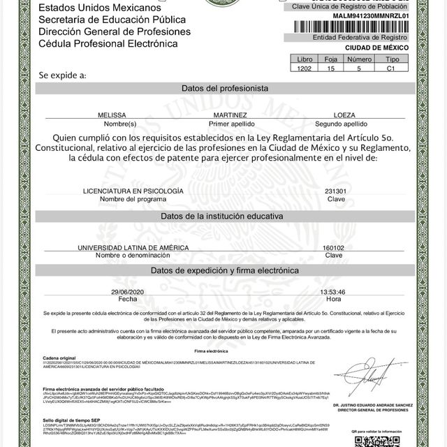 Ampliar imagen: certificate 3